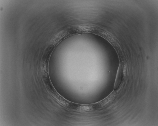 X0000066930418200603311357