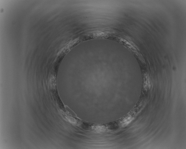 X0000066930419200603311357