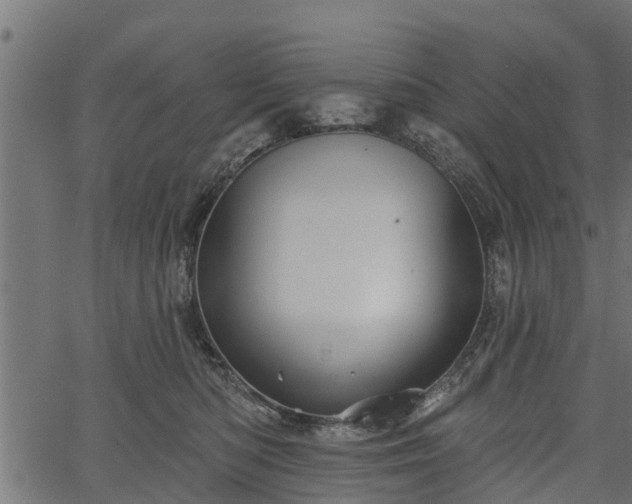 X0000066930422200603311357