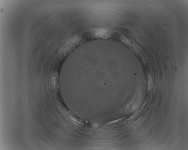 X0000066930424200603311357