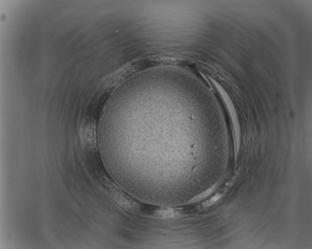 X0000066930425200603311357