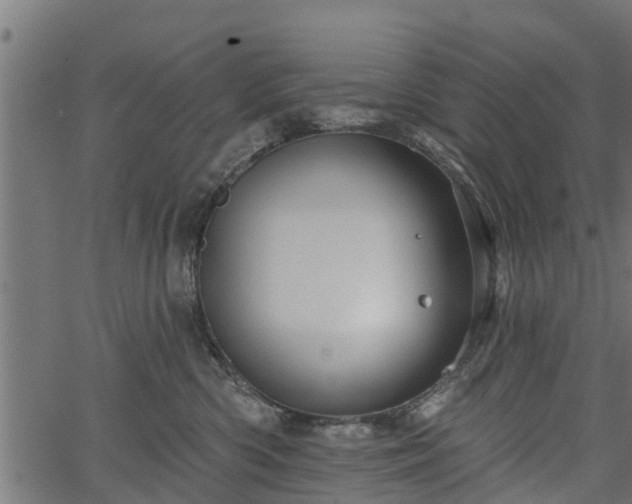 X0000066930426200603311356