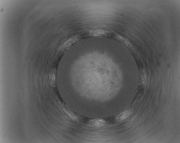 X0000066930427200603311356