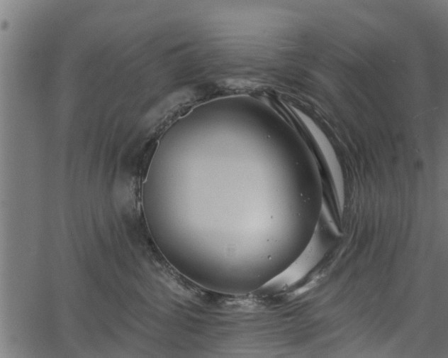 X0000066930428200603311356