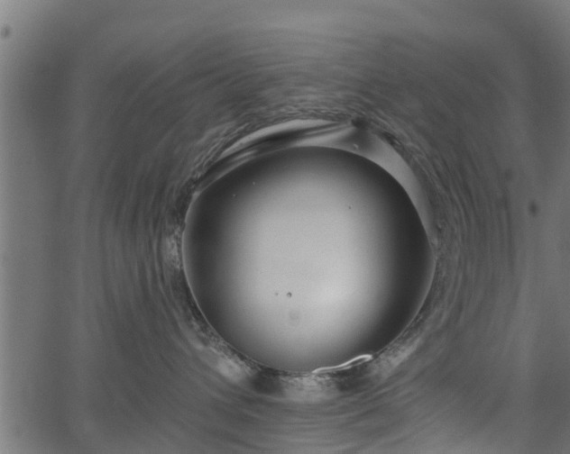 X0000066930432200603311356