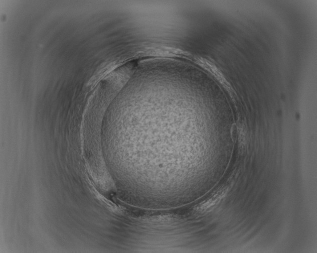 X0000066930433200603311356