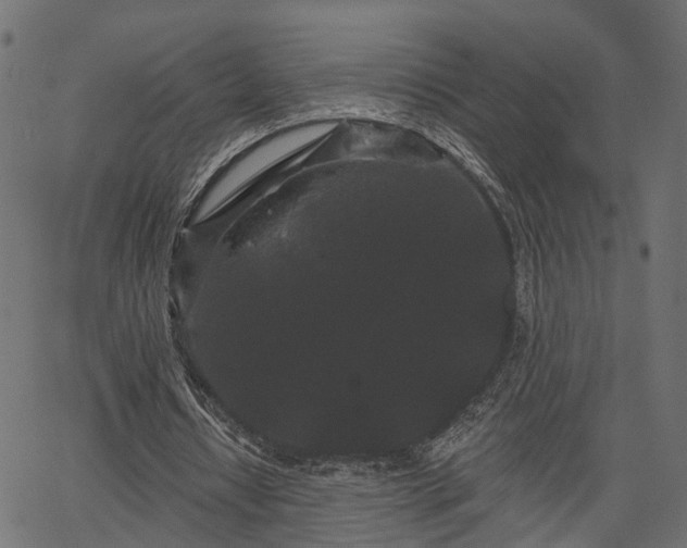 X0000066930434200603311356