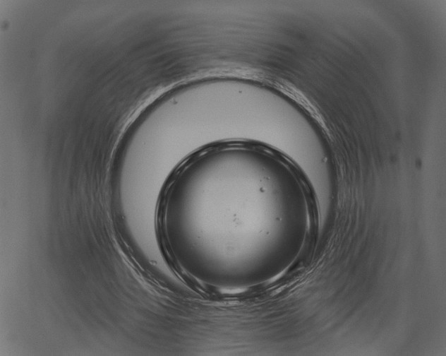 X0000066930436200603311356