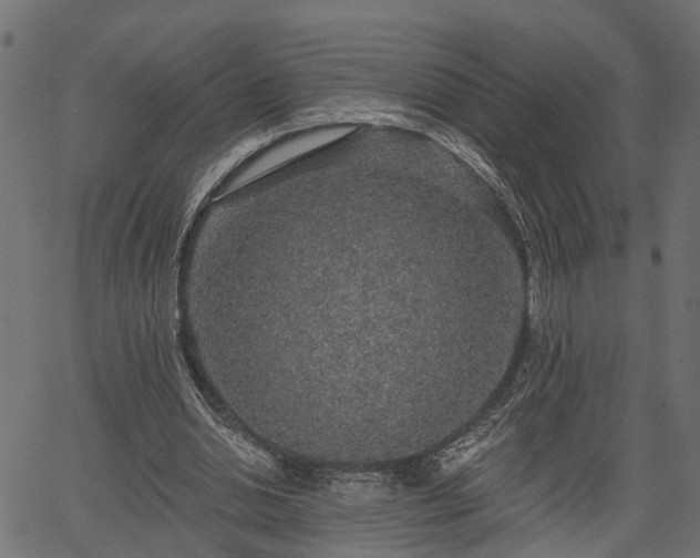 X0000066930438200603311356