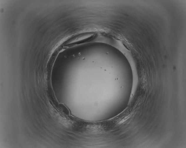 X0000066930440200603311356