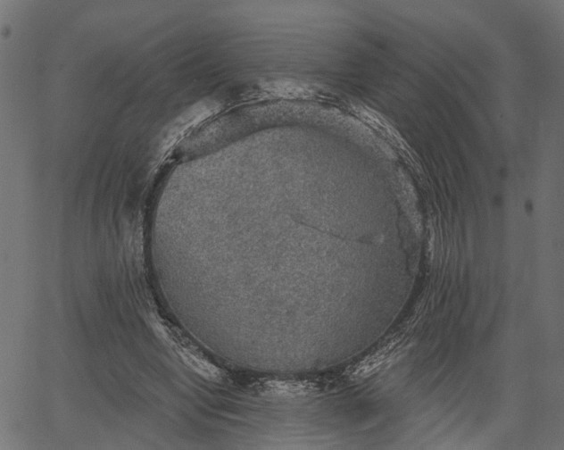 X0000066930442200603311356