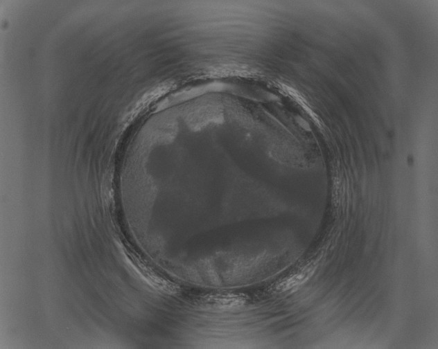 X0000066930443200603311356