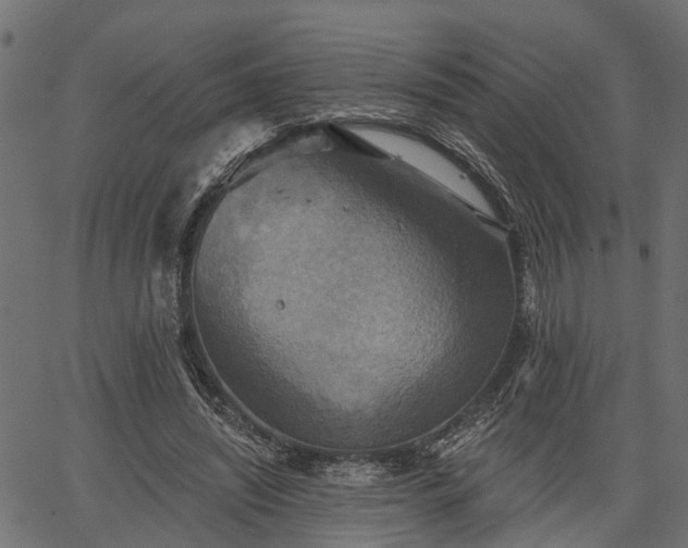 X0000066930444200603311356