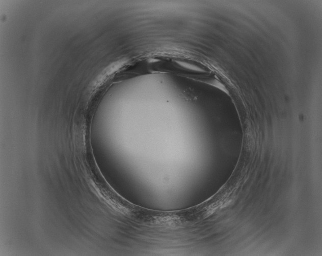 X0000066930446200603311356