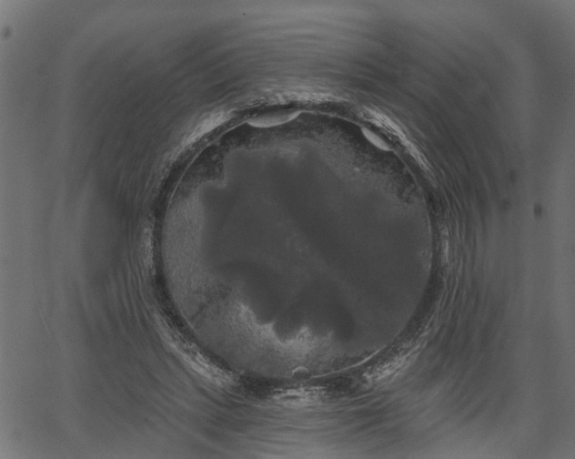 X0000066930447200603311356