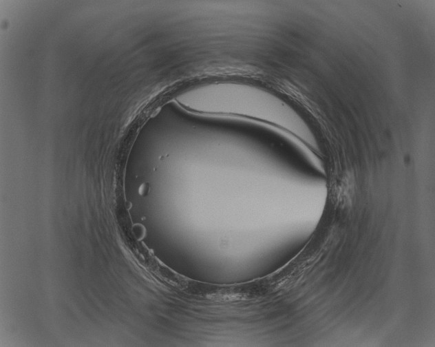 X0000066930448200603311356