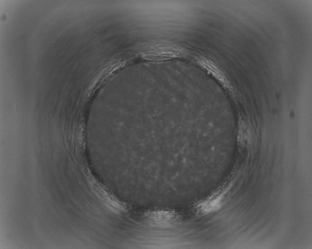 X0000066930449200603311356