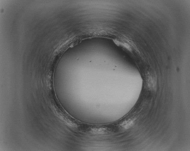 X0000066930450200603311356