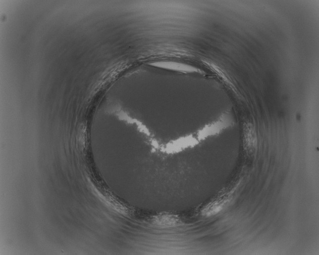 X0000066930451200603311356