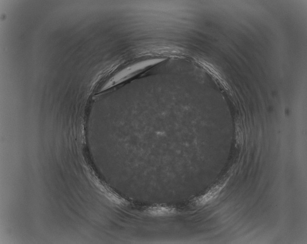 X0000066930453200603311356