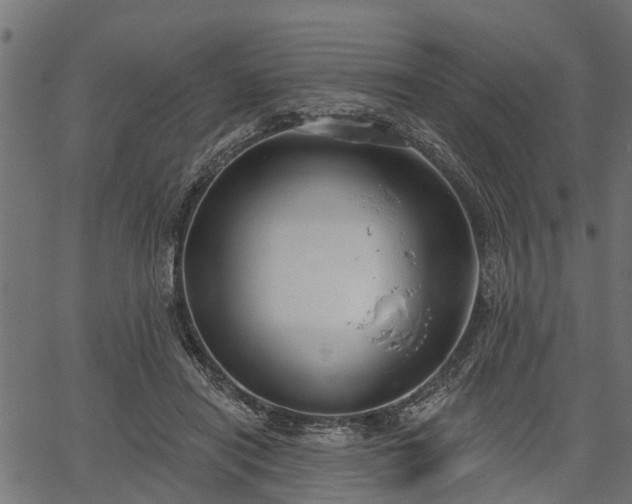 X0000066930454200603311356