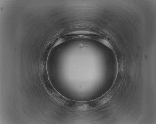 X0000066930456200603311356