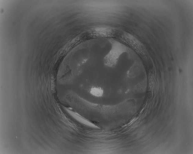 X0000066930457200603311356