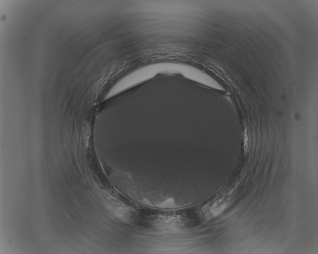 X0000066930458200603311356