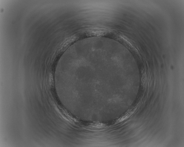 X0000066930459200603311356