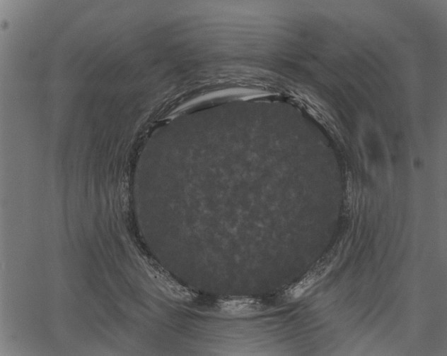 X0000066930461200603311356