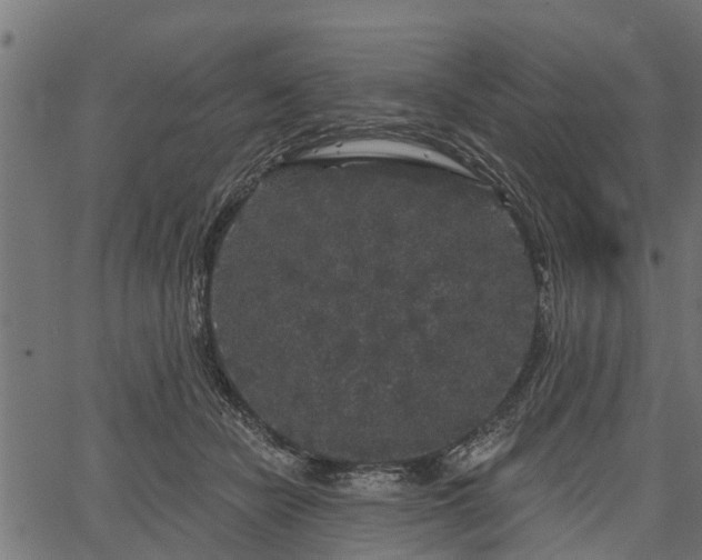 X0000066930462200603311356