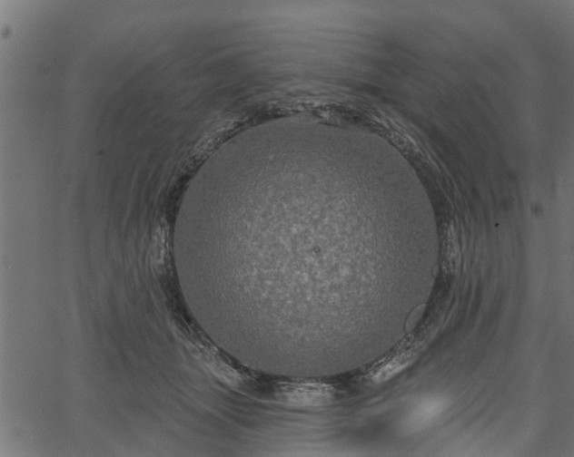 X0000066930463200603311356