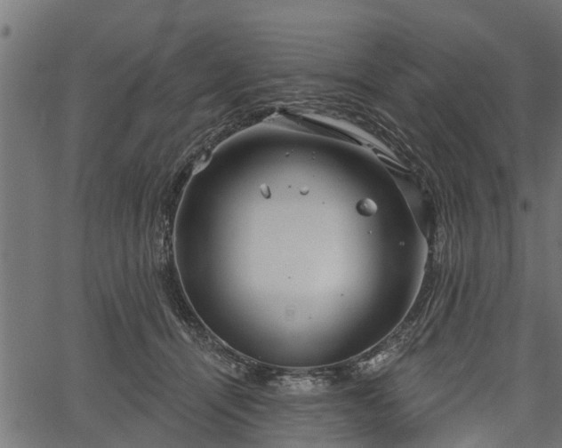 X0000066930464200603311356