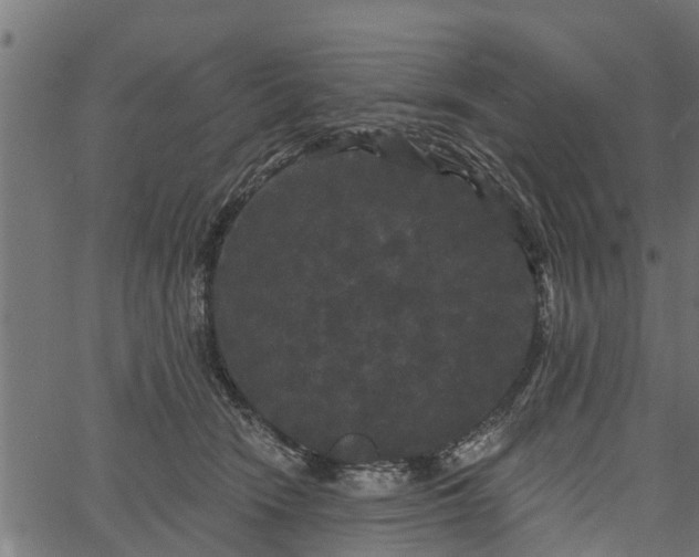 X0000066930466200603311356