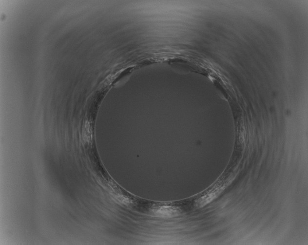 X0000066930467200603311356