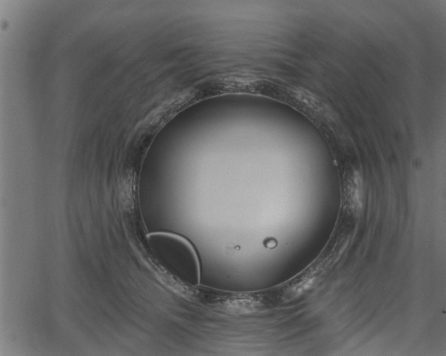 X0000066930468200603311356