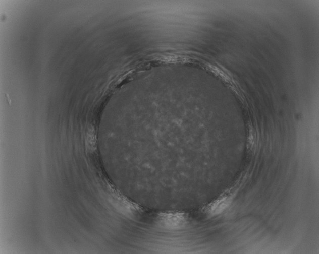 X0000066930469200603311356