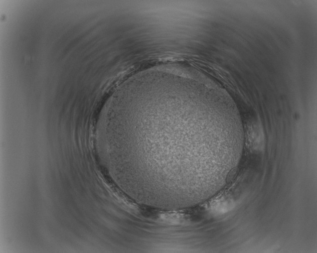 X0000066930470200603311356