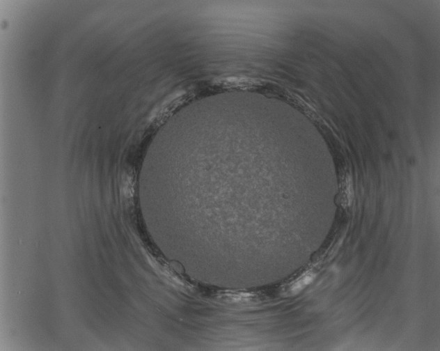 X0000066930472200603311356