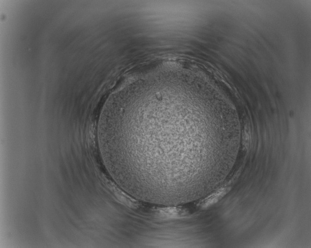 X0000066930473200603311356