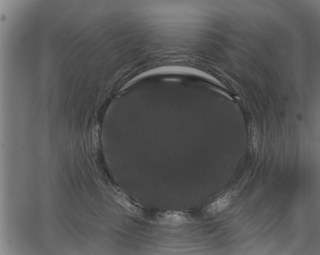 X0000066930475200603311356