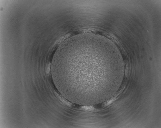 X0000066930477200603311356