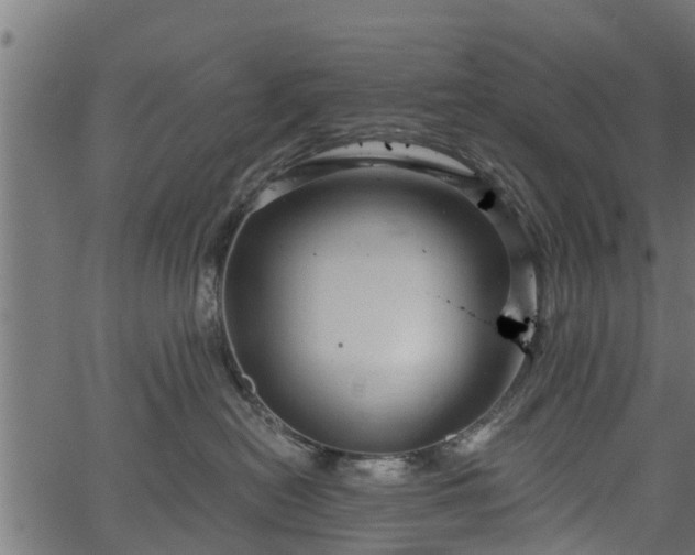 X0000066930478200603311356