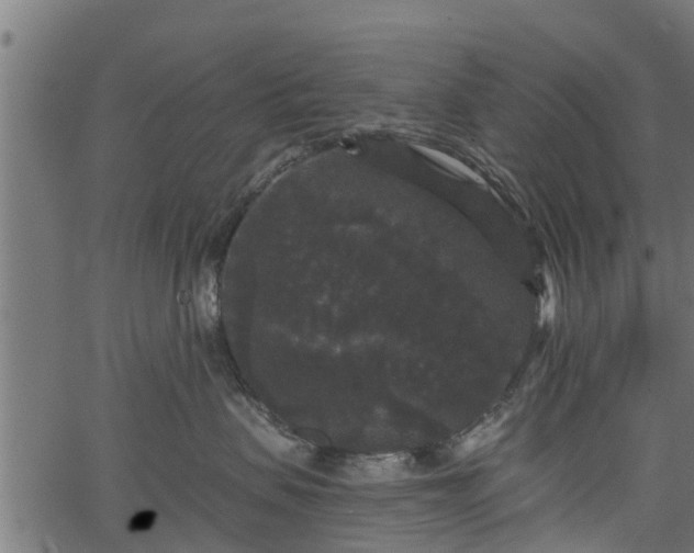 X0000066930479200603311356