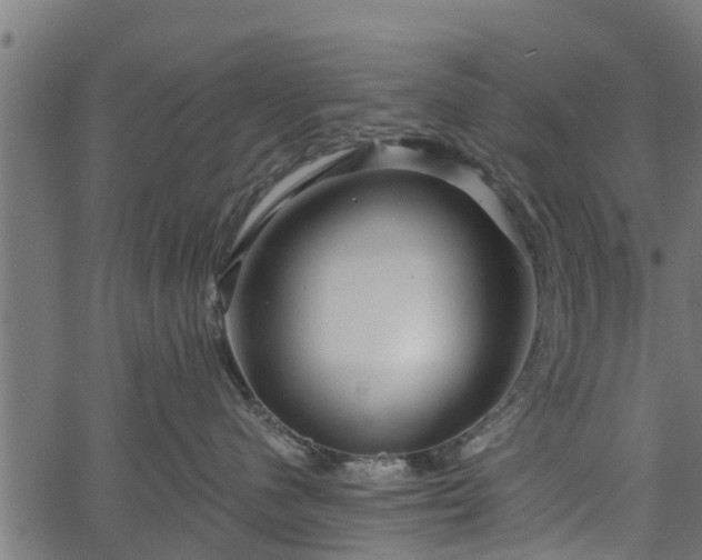 X0000066930480200603311356