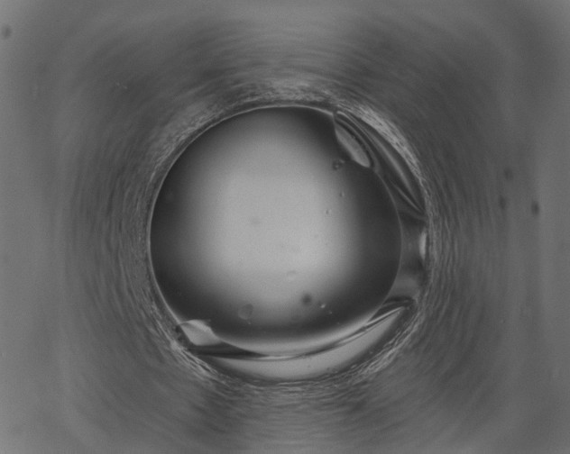 X0000066930481200603311356