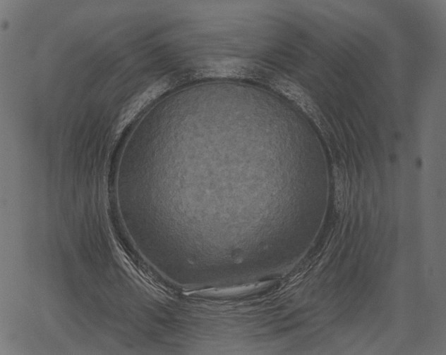 X0000066930482200603311356