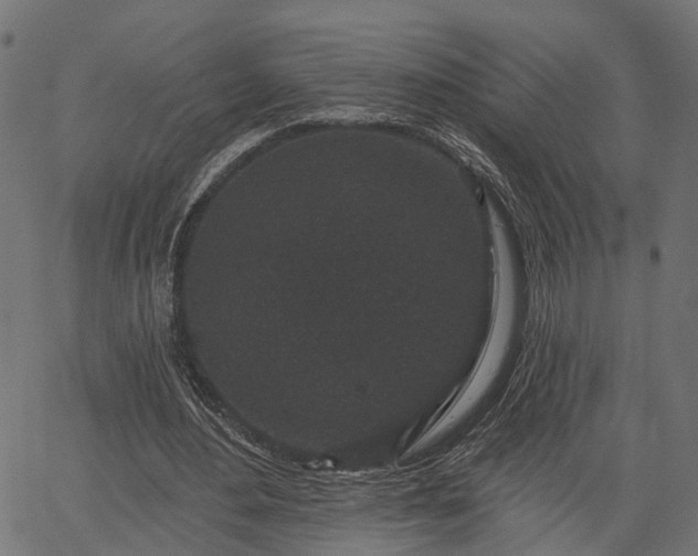 X0000066930484200603311356