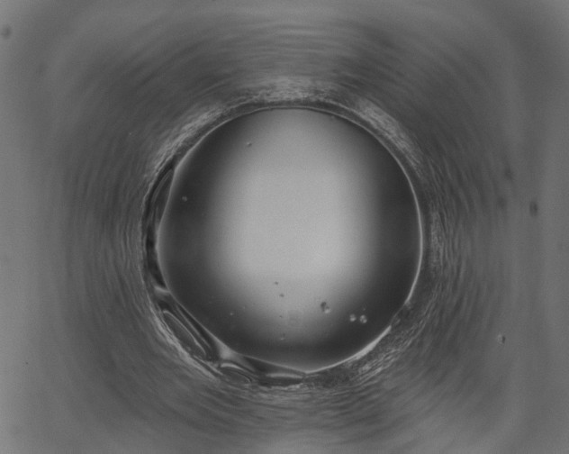 X0000066930485200603311356