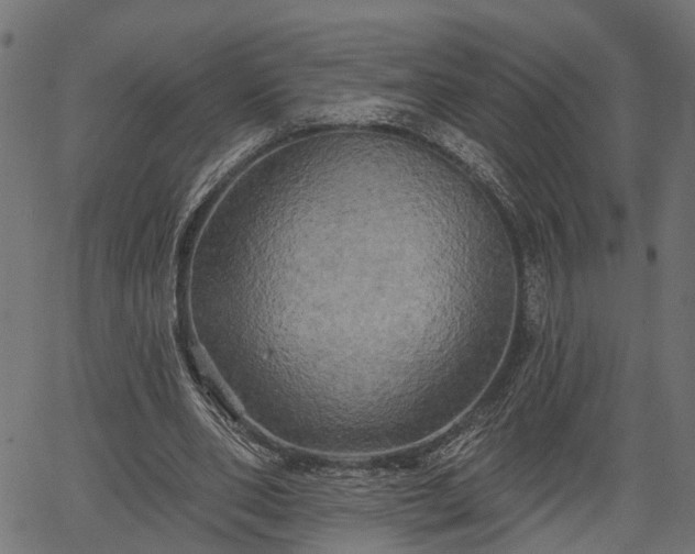 X0000066930486200603311356